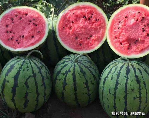 免费吃瓜的网站,畅享娱乐盛宴的秘密通道 第2张 免费吃瓜的网站,畅享娱乐盛宴的秘密通道 第2张