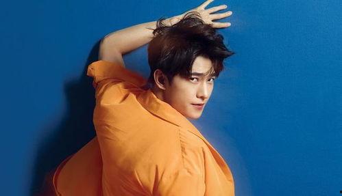 圈内爆料肖战华晨宇,揭秘娱乐圈背后的精彩故事 第3张 圈内爆料肖战华晨宇,揭秘娱乐圈背后的精彩故事 第3张