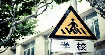 石家庄学区房最新爆料,揭秘热门区域房价走势与名校周边房源抢购热潮 第2张 石家庄学区房最新爆料,揭秘热门区域房价走势与名校周边房源抢购热潮 第2张